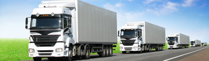 transportadores